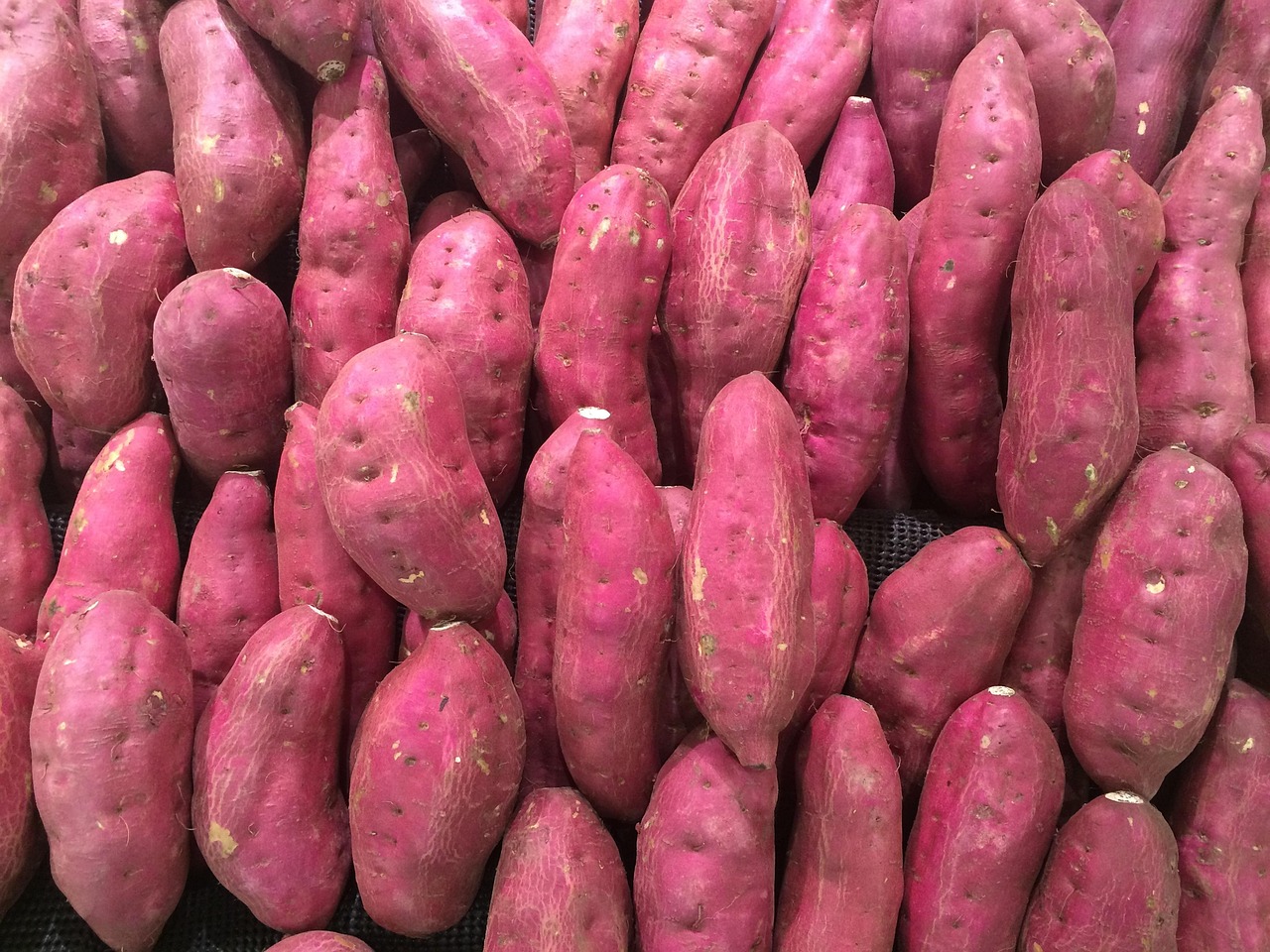 보고구인구직